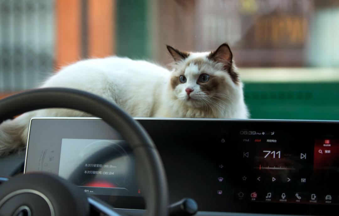 开年便能好运三连，欧拉这次助你做“欧皇”