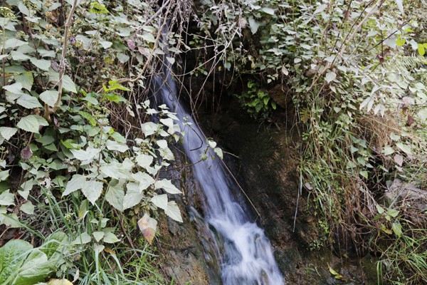 “这是甜甜蜜蜜新生活的开始”——老万搬家记