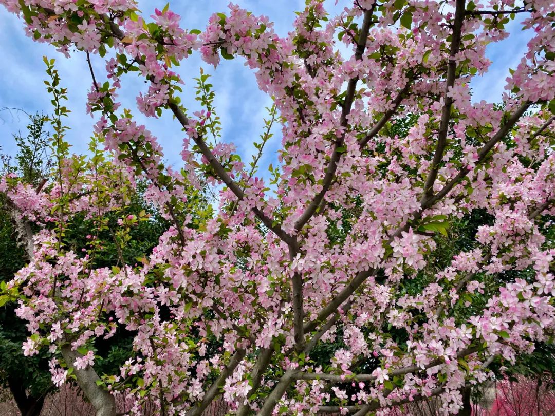 什邡风景好看的地方,什邡附近比较有名的景色