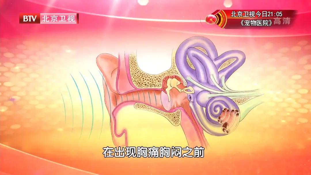 耳鸣了要怎么再预防一下,耳鸣患者需注意的小细节