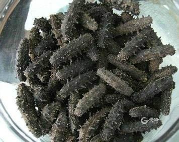 海参价格差异原因,正宗青岛海参多少钱一斤