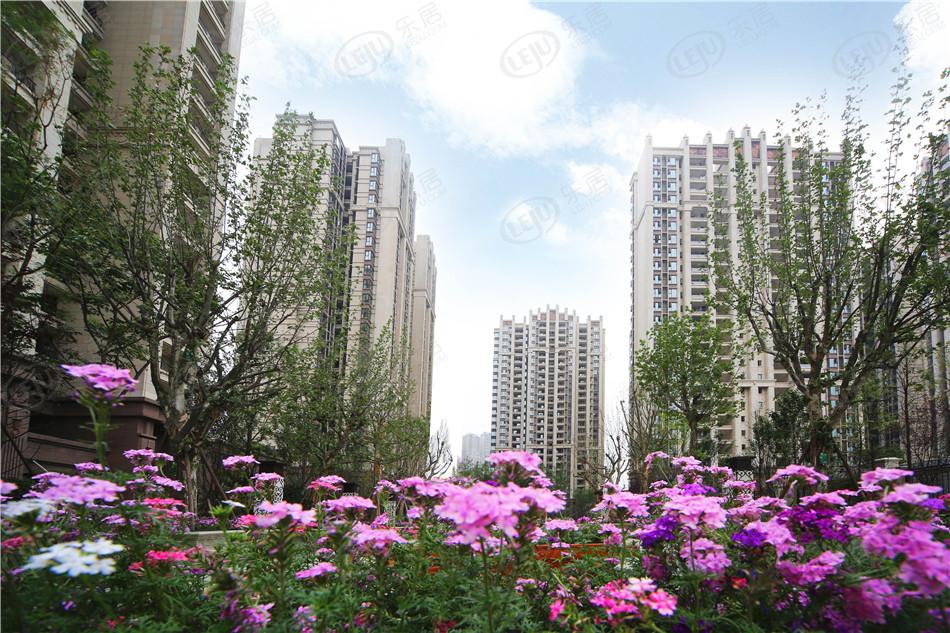 成都太阳公元网红盘,拿证速递即将开盘的楼盘