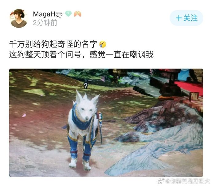 汪苏泷的脸摔肿了,汪苏泷脸肿成蜜蜂小狗