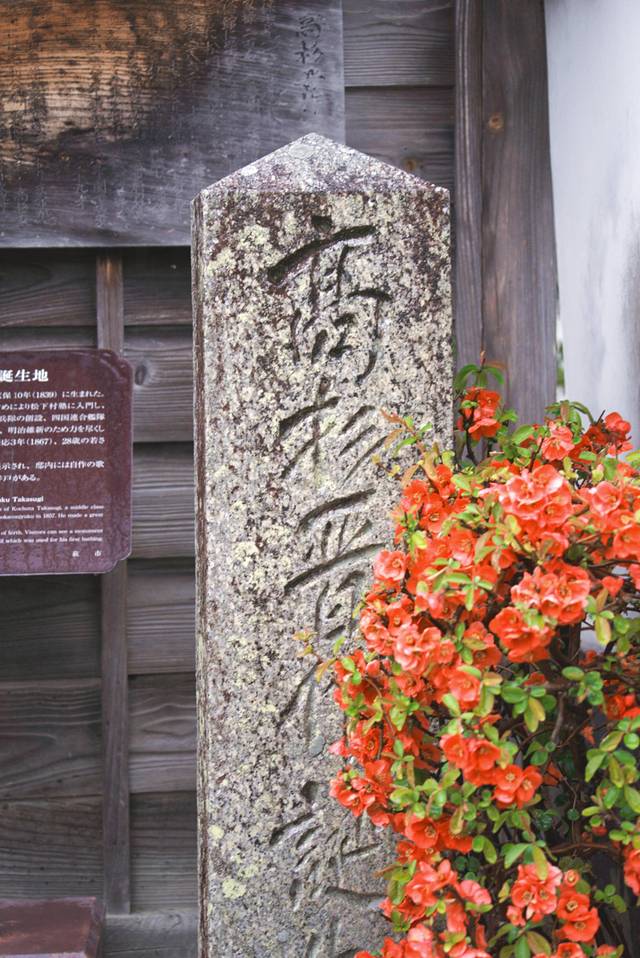 日本山口县十大旅游景点,日本山口风景区有哪些景点