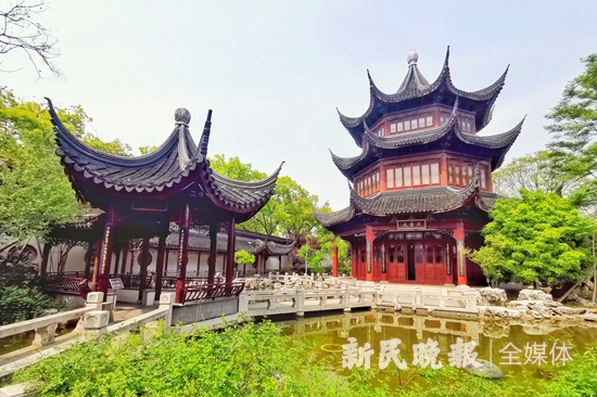 新老朋友因围棋在同里相聚属于天元赛的美妙“棋”缘依然未完待续