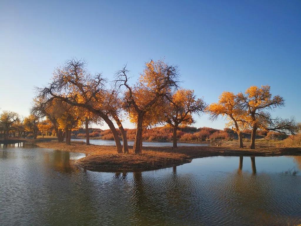 黄土梁上瞭黄河丨黄河行