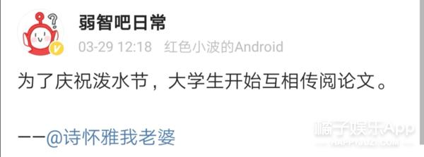 野生段子手,野生大头鱼剁椒鱼头