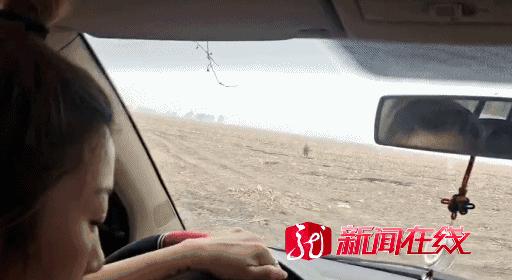 半岛聚焦丨只认“金钱”不识“豹”，为了流量闹哪样？盘点杭州“瞒豹”事件始末