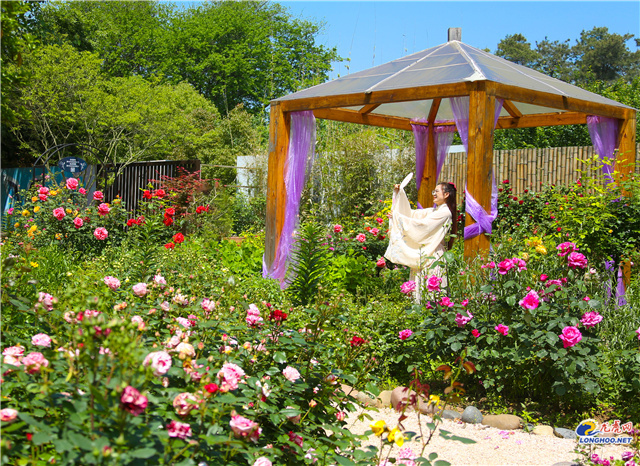 溧水一日游必去景点免费景点石湫,南京秋天溧水景点推荐