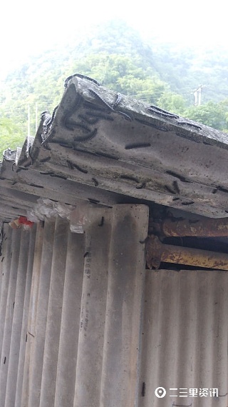 马陆虫又在商南过风楼境内出现,农综站干部盼专家给予防治建议