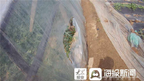 我为群众办实事事件清单,我为群众办实事普法总结