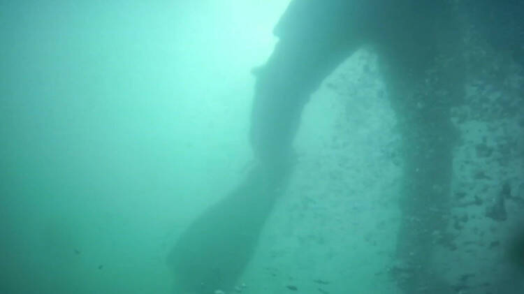 寻隐者不遇故事创编,寻隐者不遇故事演绎