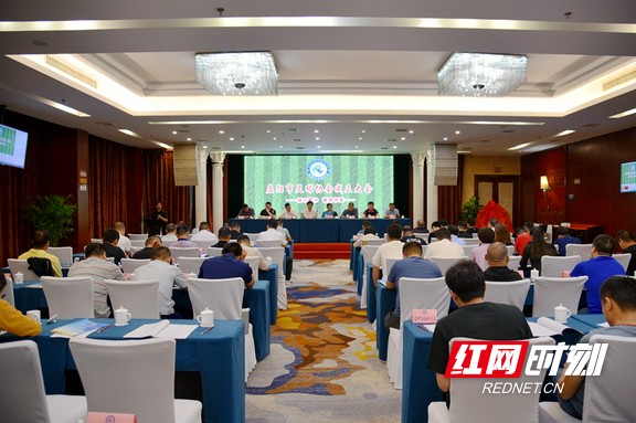 益阳协会,益阳足球协会