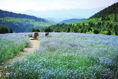 洛阳洛宁县发展,洛南高质量发展新篇章