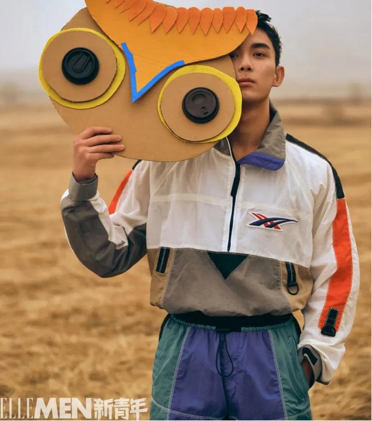 整容失败的男星们,娱乐圈整容艺人