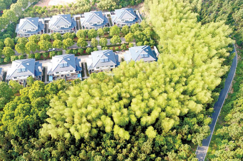 当村民小组长43年,周宝生干得怎么样?