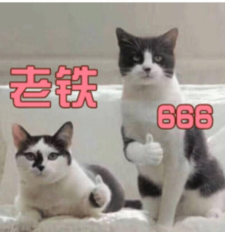 怎么在电脑端刷抖音,怎么在电脑刷网页版抖音