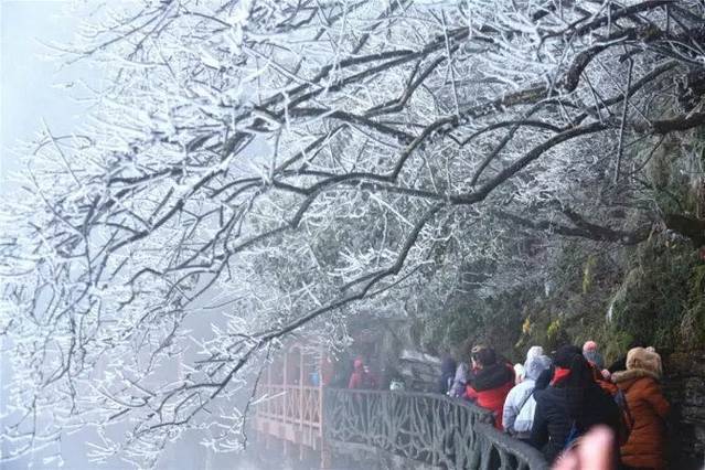 张家界旅游各种攻略大全,张家界最新实用旅行攻略图片高清