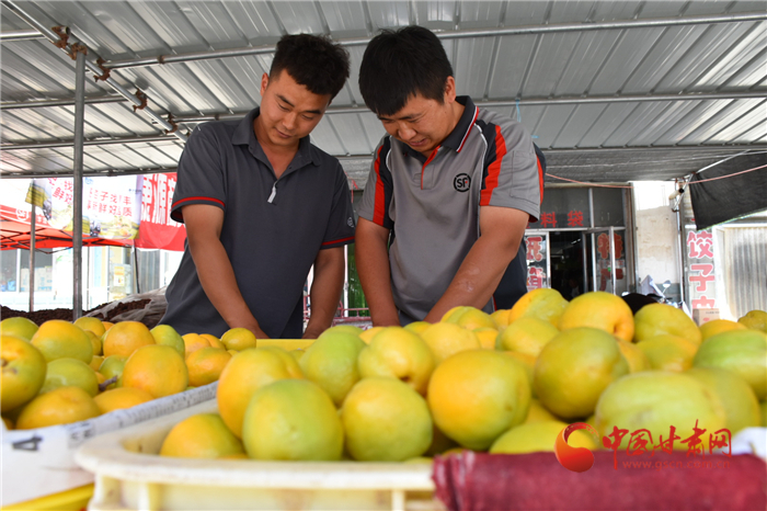 敦煌李广杏带往嘉峪关,敦煌李广杏顺丰快递