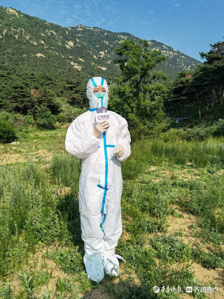 一只羊身上有12只虫子,疾控人员在家找出大量蜱虫