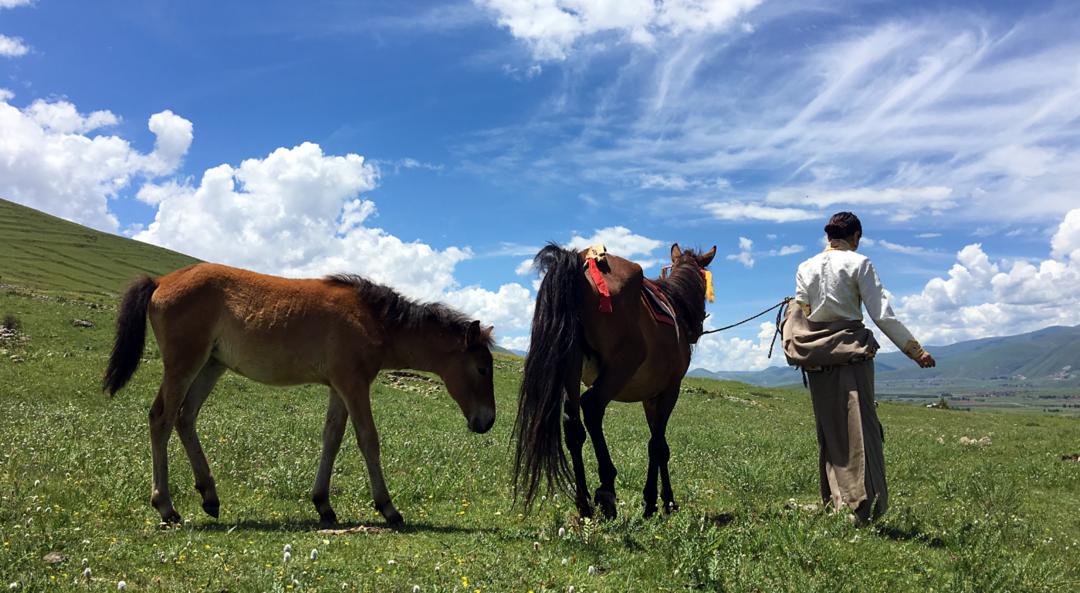 川藏旅行带你看甘孜 (甘孜一网打尽川藏最精华的旅行地)