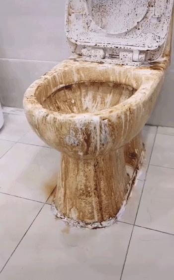 去日本都有哪些必买好物,不去日本也要买的5个好物