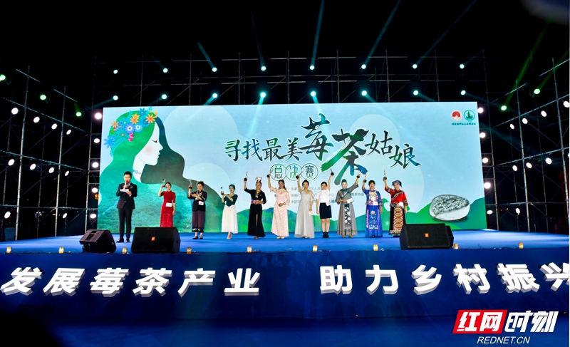 寻找最美莓茶菇凉,湖南张家界莓茶最美姑娘