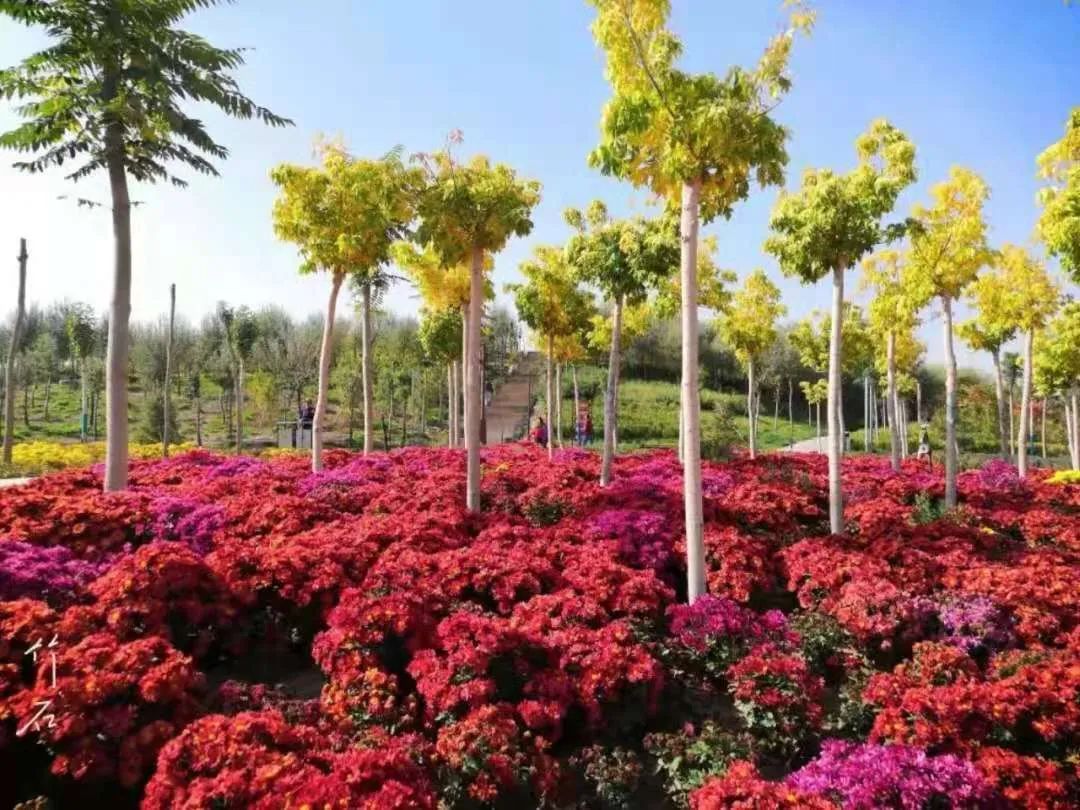 诗词名句赏析凉州诗,凉州古诗词中的诗意