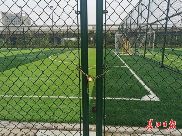 公园草坪开放,公园篮球场开放了吗