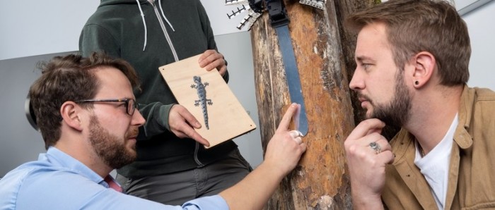 对壁虎“着陆”过程的新认识可能导致更灵活的机器人的出现