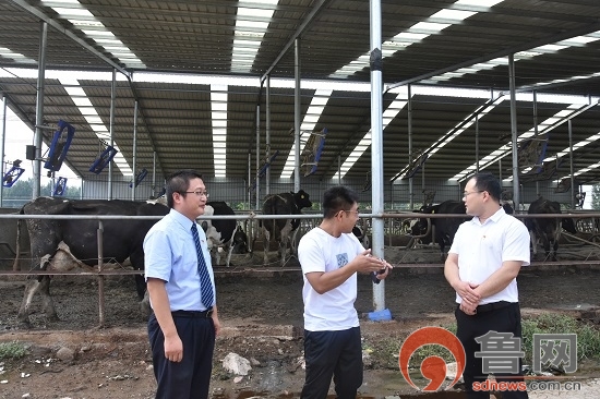 琅琊财评｜邮储银行临沂市分行：创新金融产品为乡村振兴加“邮”“储”力