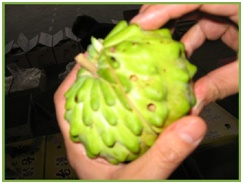 进口水果小百科系列,进口水果知识书