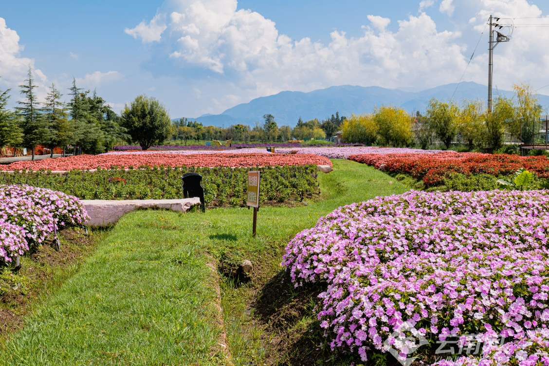 国庆去大理旅游玩攻略大全,国庆大理哪里玩最好推荐