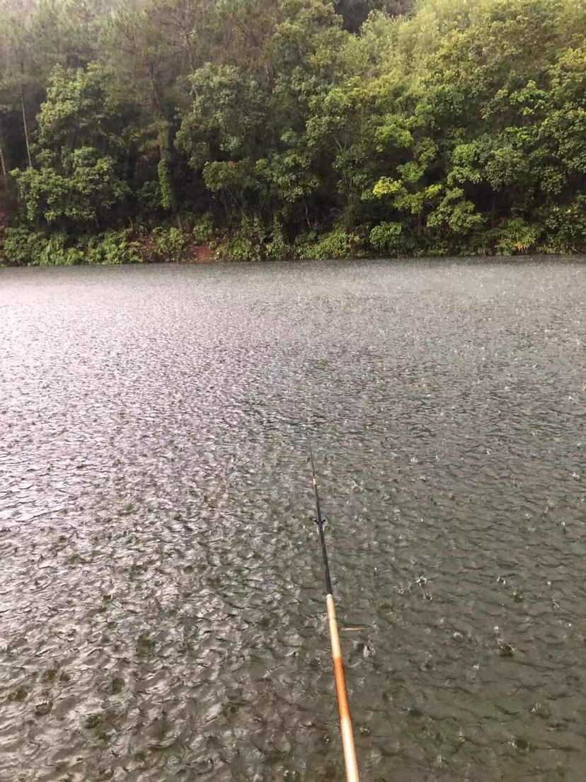 姐姐转战多个水库，鲮鱼爆护，豆豉鲮鱼不吃却拉回一麻袋有毒木薯