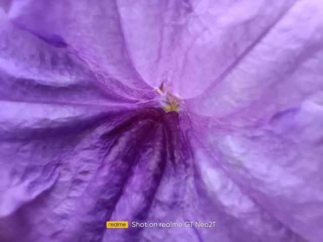 真我gtneo闪速版和真我gtneo2t,真我gtneo2t和红米note10pro