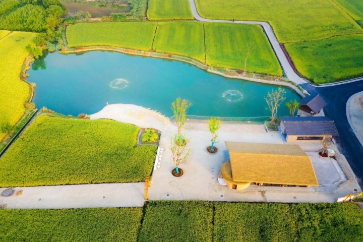 奔竞者萧山：亚运国际城杭州新中心