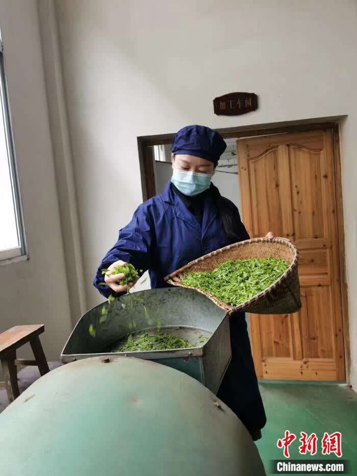 返乡归巢新农人,返乡归巢的新农人乡村创业正当时