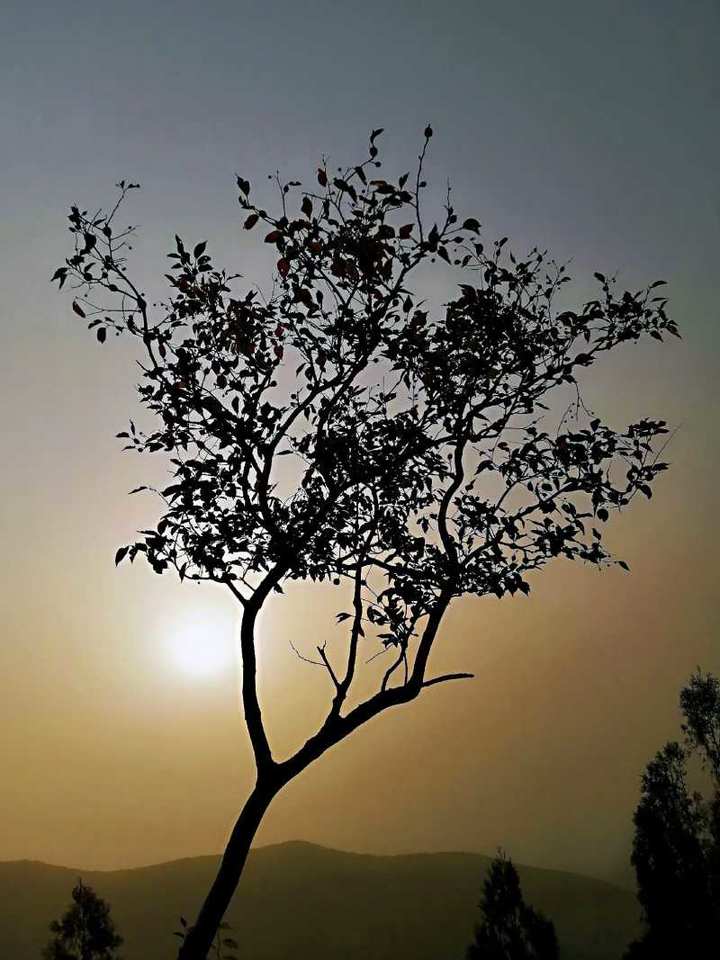 秋天的思念完整版原唱,秋天的思念送给我最牵挂的你