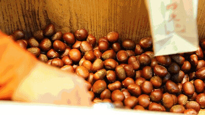 秋冬补肾正当时的方子,春夏秋冬补肾正确方法