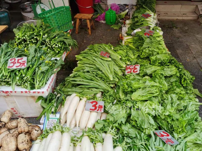 柳州现在什么青菜便宜,柳州青菜贵