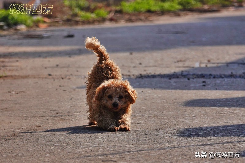 无锡棚户区改造最新消息,无锡棚户区改造重点区域是哪里