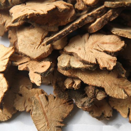 金荞麦是中药还是西药,中药金荞麦功效与作用