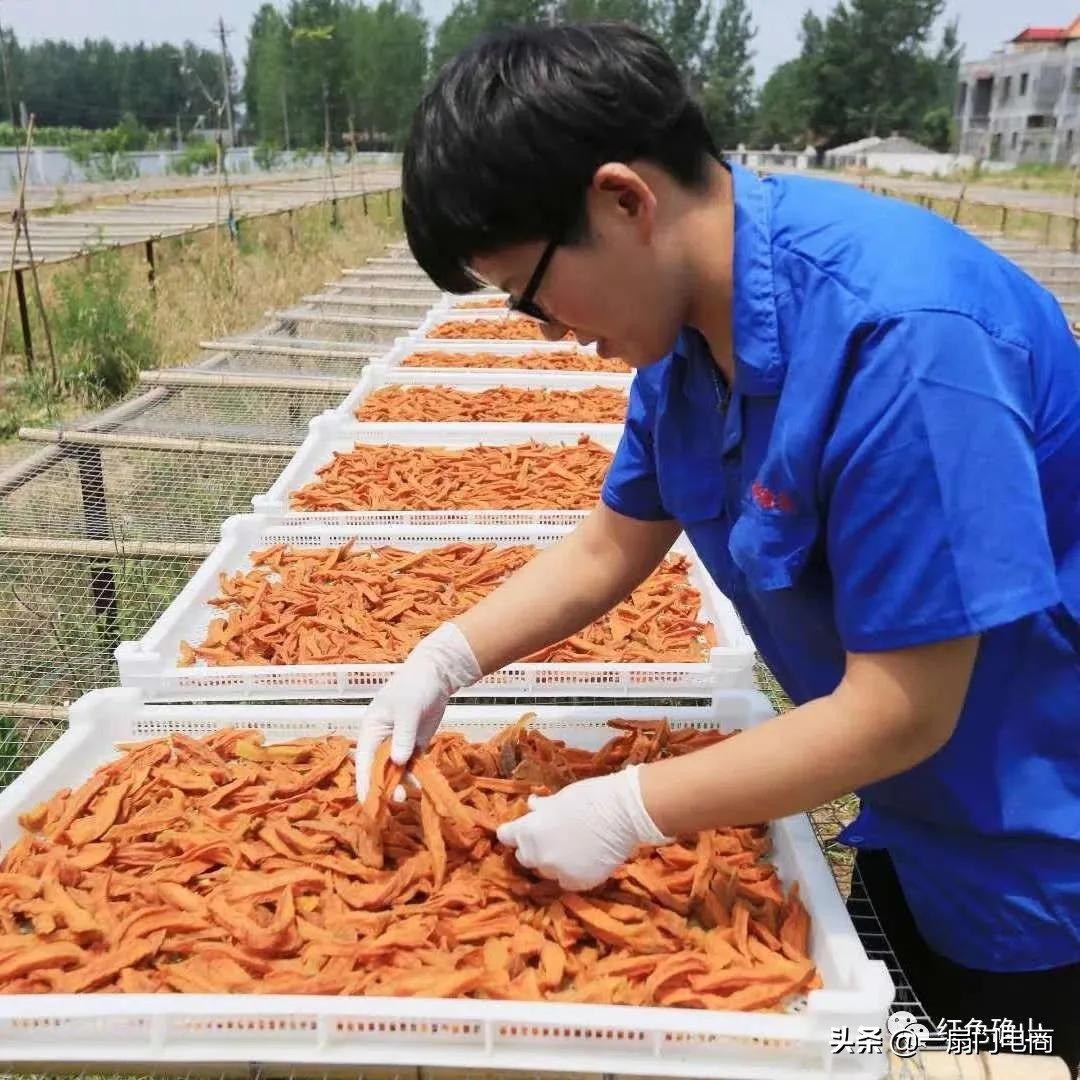 我为农产品代言网红,我为家乡农产品代言抖音热门