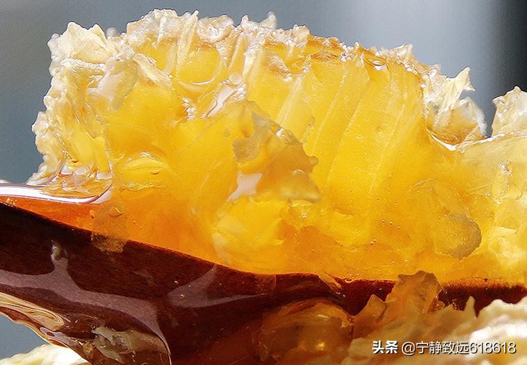 怎么知道蜂蜜是纯蜂蜜还是假蜂蜜,蜂蜜是洋槐蜂蜜好还是枣花蜂蜜好