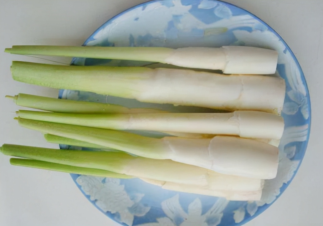 湖南特有的笋,湖南特产野笋