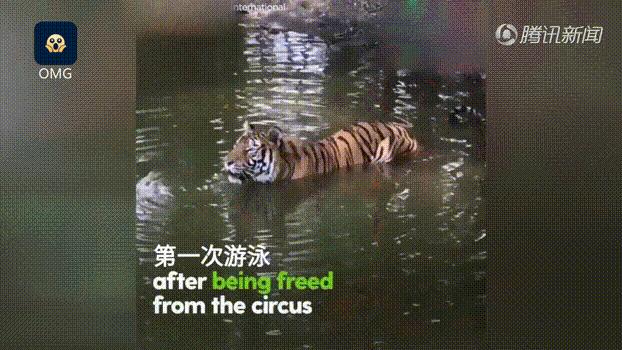 被囚34年取精，被迫亲手杀死爱子，最后只能挣扎着死去……