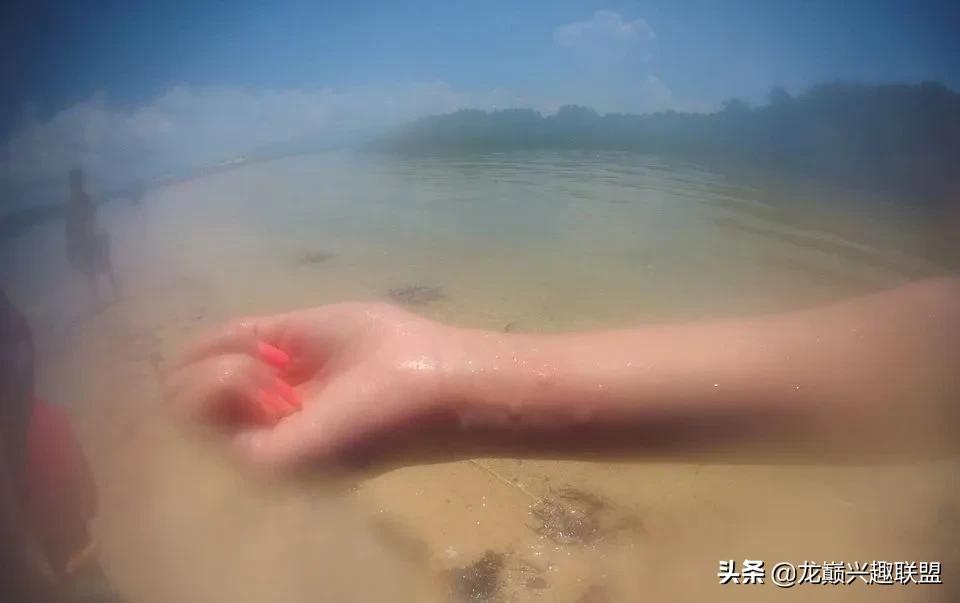 珊瑚到底有多可怕,珊瑚到底有多残忍