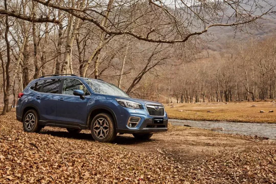 行者，步履不停｜收音师卢楠