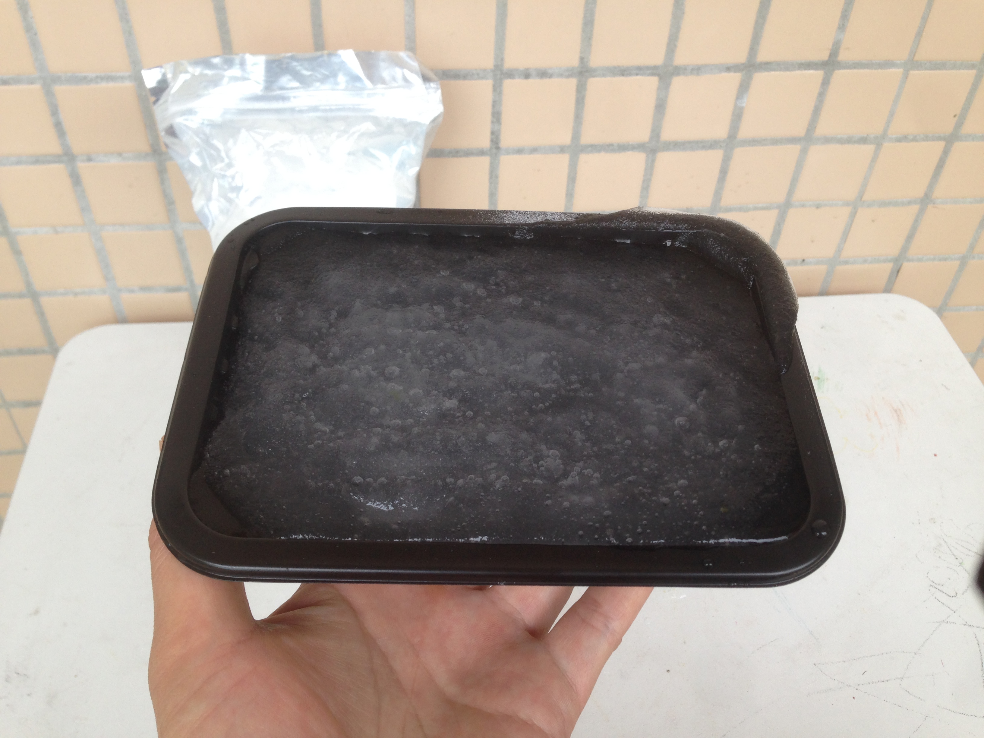 营养土不浇水直接种种子可以嘛,营养土育苗前要湿水吗