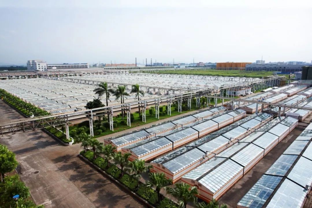 佛山最强的陶瓷集团,佛山最大的房企排名